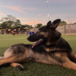 Fetch Park