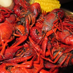 Big John's Seafood Patio - Closeup of crawfish