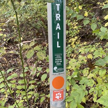 Palos Forest Preserves - Awesome trail for hiking, running, or mountain biking - Mountain Biking Near Me - Cook, Illinois
