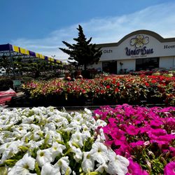 Under the Sun Garden Center