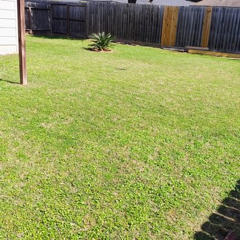 1son Elect Mowers - Lawn Services Near Me