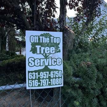 Off The Top Tree Service - The results of the tree trim from Off The Top Tree Service. - Tree Services Near Me - Lindenhurst, New York