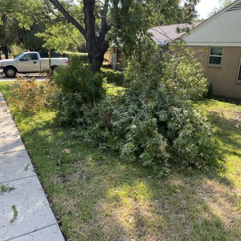 Best Choice Tree Care - Tree Services Near Me
