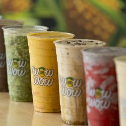 Wow Wow Lemonade Sarasota LWR