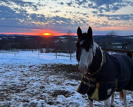Mount Mansfield Equestrian Center - equestrian in Stowe, VT