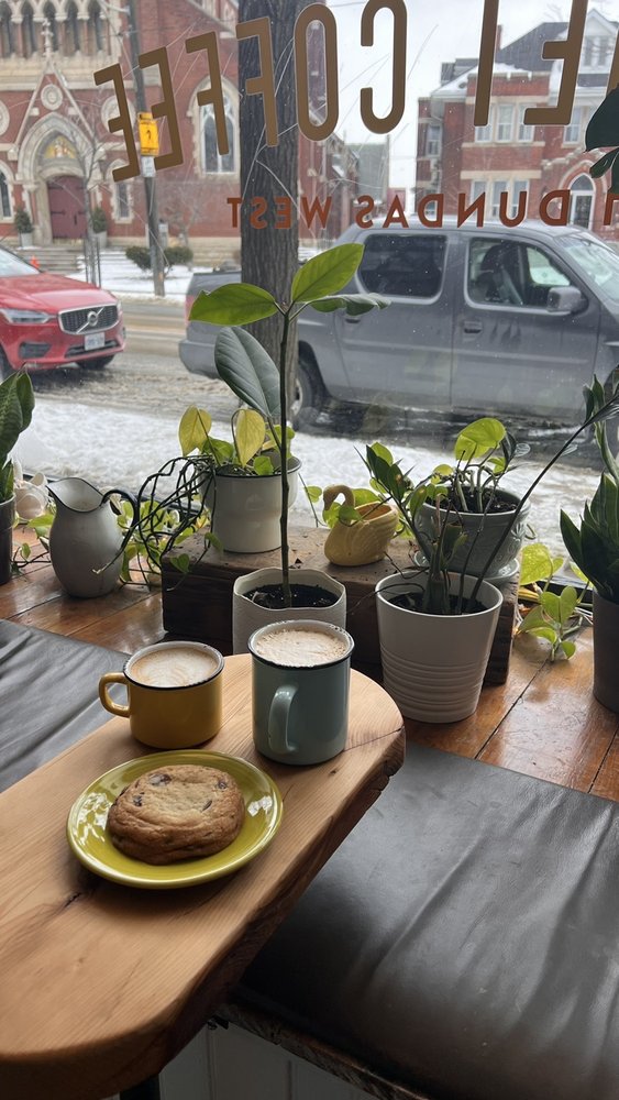Cygnet Coffee Image