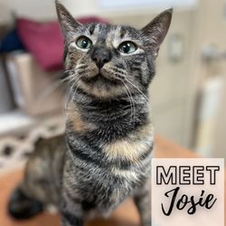 Humane Society Of St Lucie County