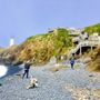 Photo of Cobble Beach