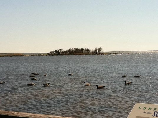 Historic Corolla Park by null