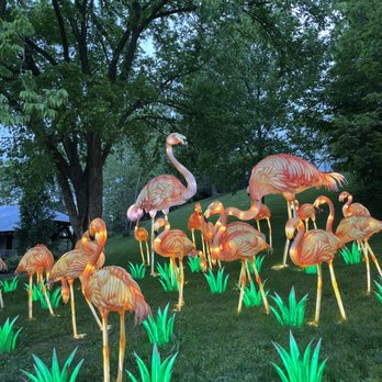 Wild Lights - Festivals Near Me - Louisville, Kentucky Wild Lights - Festivals Near Me - Louisville, Kentucky