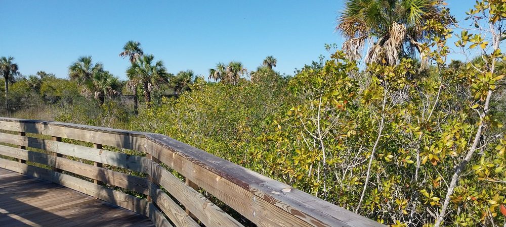 Big Cypress Bend Boardwalk Logo