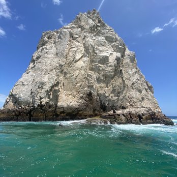 Manta Scuba Diving - a lone sea lion - Scuba Diving Near Me - Los Cabos, BCS