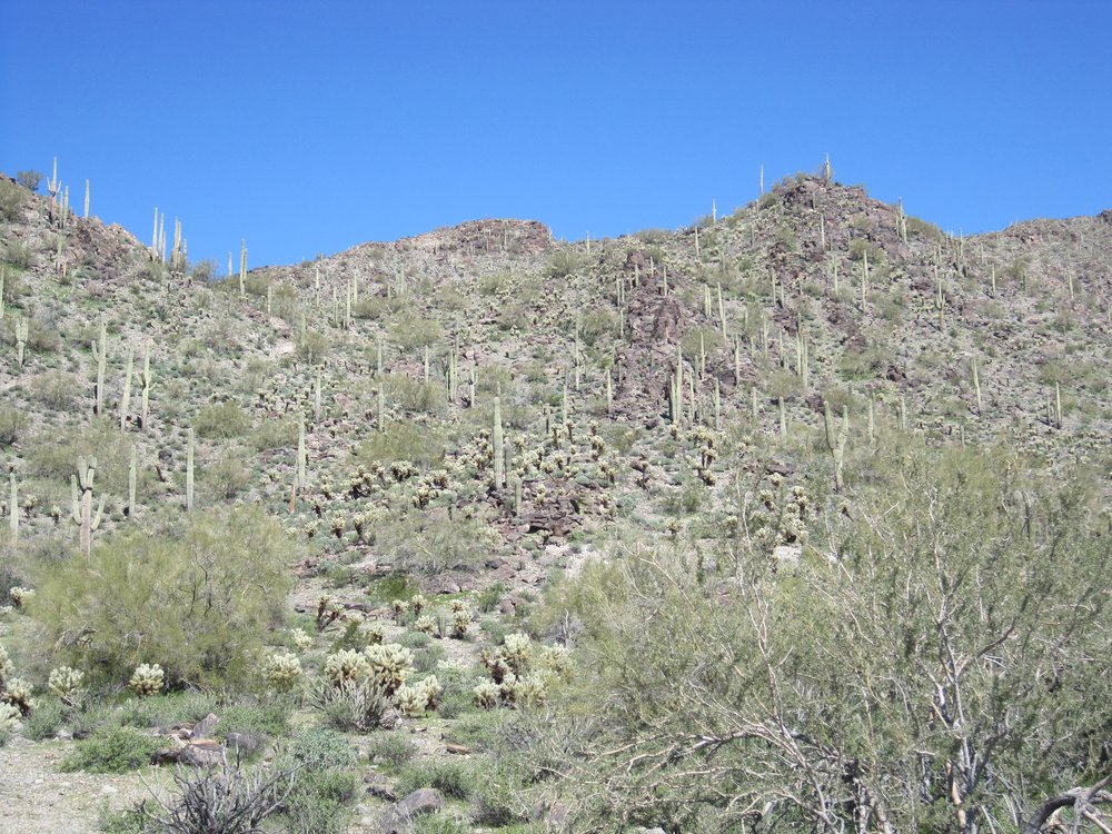 Slide of Roosevelt General Contractors