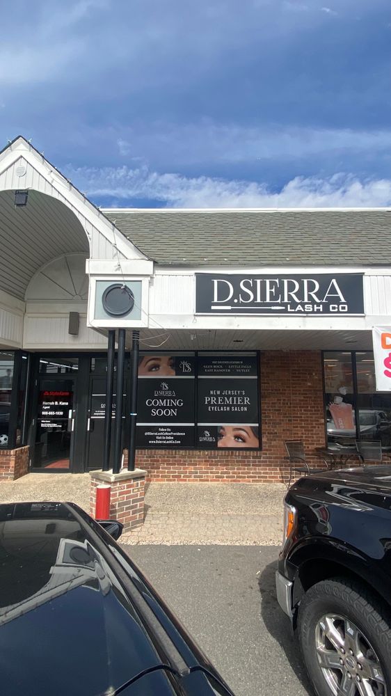 D.Sierra Lash Co. Logo
