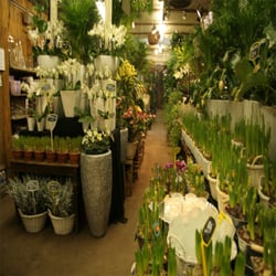 Plantenmarkt-amsterdam11.jpg