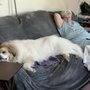 Photo of Holly’s Critter Care