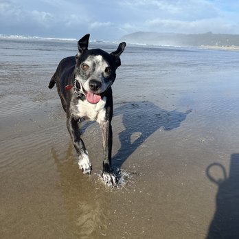 Cannon Beach - Beaches Near Me