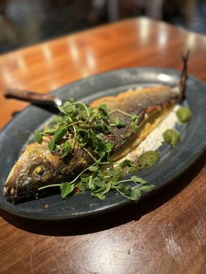 Meso Modern Mediterranean by null