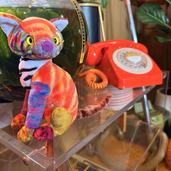 Atomic Cat - Coffee & Tea Near Me - St Petersburg, Florida