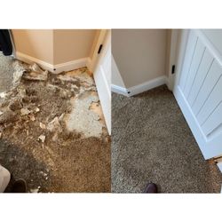 All American Cleaning & Restoration - Amazing carpet repair!