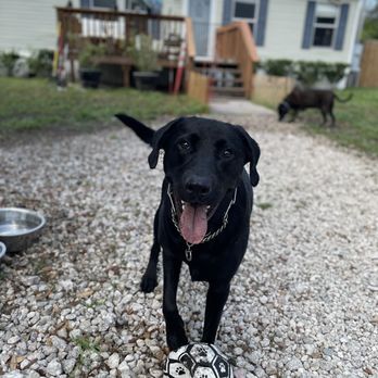 Preferred Pet Care - Pet Boarding Near Me - St. Augustine, Florida Preferred Pet Care - Pet Boarding Near Me - St. Augustine, Florida