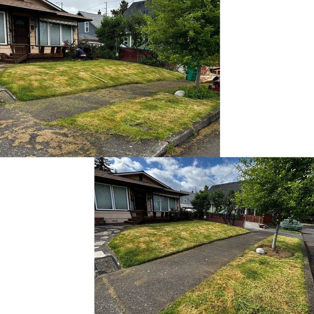 M&S LANDSCAPING AND DETAILING - Updated June 2026 - Request a Quote ...