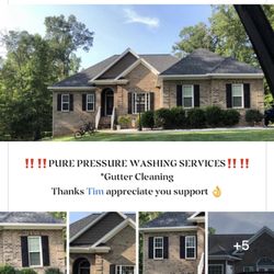 Pure Pressure Washing Services