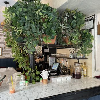 Dar525 - Beautiful Bar Area - Middle Eastern Near Me - Brooklyn, New York Dar525 - Beautiful Bar Area - Middle Eastern Near Me - Brooklyn, New York