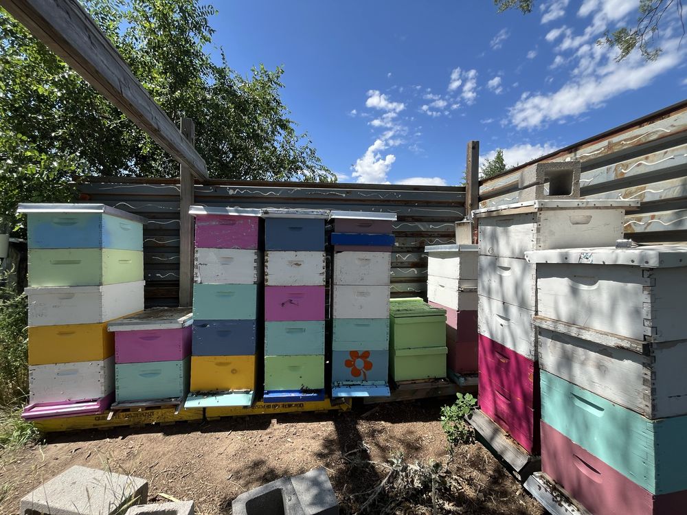 Let It Bee Honey & More Store - beekeeping in Lyons, CO