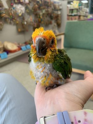 THE BIRD & REPTILE CONNECTION - Updated June 2024 - 29 Photos & 33
