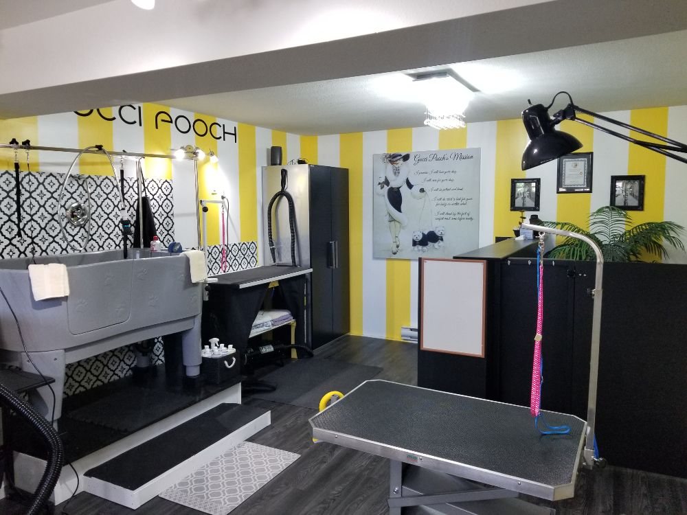 GUCCI POOCH Updated July 2024 1036 Borden Avenue, Kelowna, British Columbia Pet Groomers