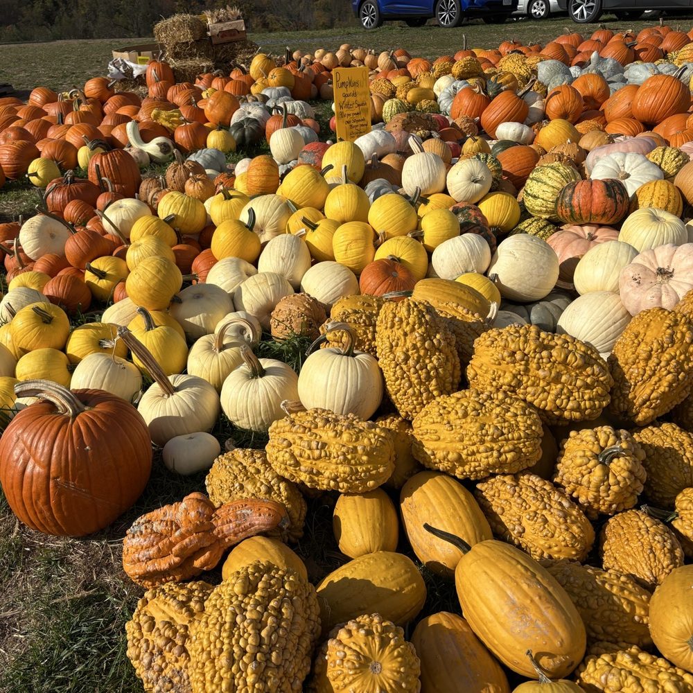 TOP 10 BEST Apple Picking Farm near Winchester, VA - Updated 2026 - Yelp