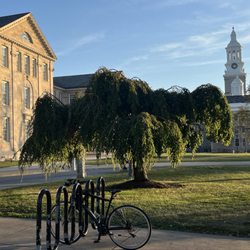 University at Buffalo