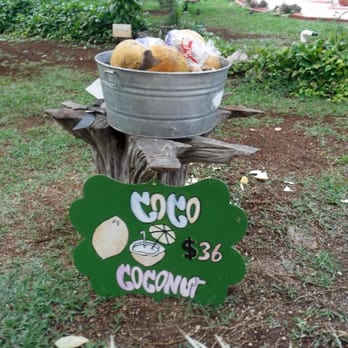 Pueblo Maya - CoCo Coconut Water $36 Pesos - Mexican Near Me - Pisté, YUC Pueblo Maya - CoCo Coconut Water $36 Pesos - Mexican Near Me - Pisté, YUC