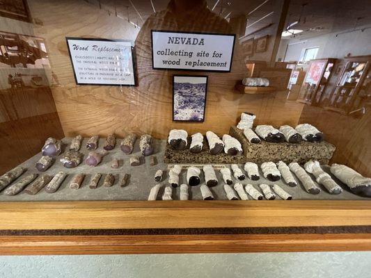 Petrified Wood Gallery by null