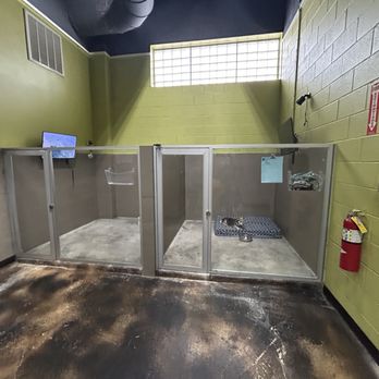 Wag Hotels - West Loop - Pet Groomers Near Me - Chicago, Illinois