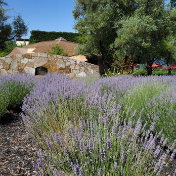 Napa Cellars - Wineries Near Me - Oakville, California Napa Cellars - Wineries Near Me - Oakville, California