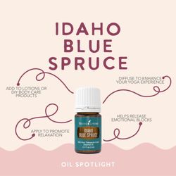 Loveland Reiki and Aromatherapy - Wonder how to use essential oils? Pick up a class to learn more!