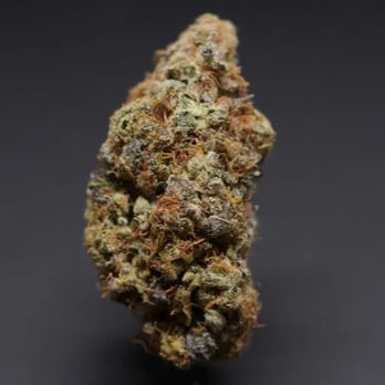CanEx - North Hollywood - Cannabis Dispensaries Near Me CanEx - North Hollywood - Cannabis Dispensaries Near Me