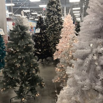 At Home - So many trees - Home Decor Near Me - Lutz, Florida