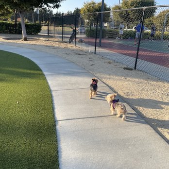 Central Park Dog Park - Dog Parks Near Me - Fremont, California Central Park Dog Park - Dog Parks Near Me - Fremont, California
