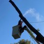 Grant Brothers Tree Service