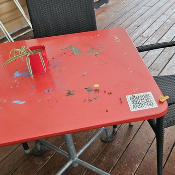 The Cherrity Bar - A bunch of flies that were all over the tables and food - Bars Near Me - San Antonio, Texas