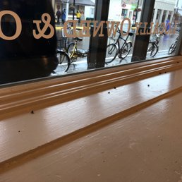 These same dead flys have been by the window for a week