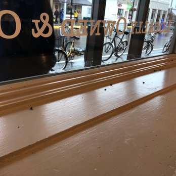Starbucks - These same dead flys have been by the window for a week - Coffee & Tea Near Me - Mackinac Island, Michigan