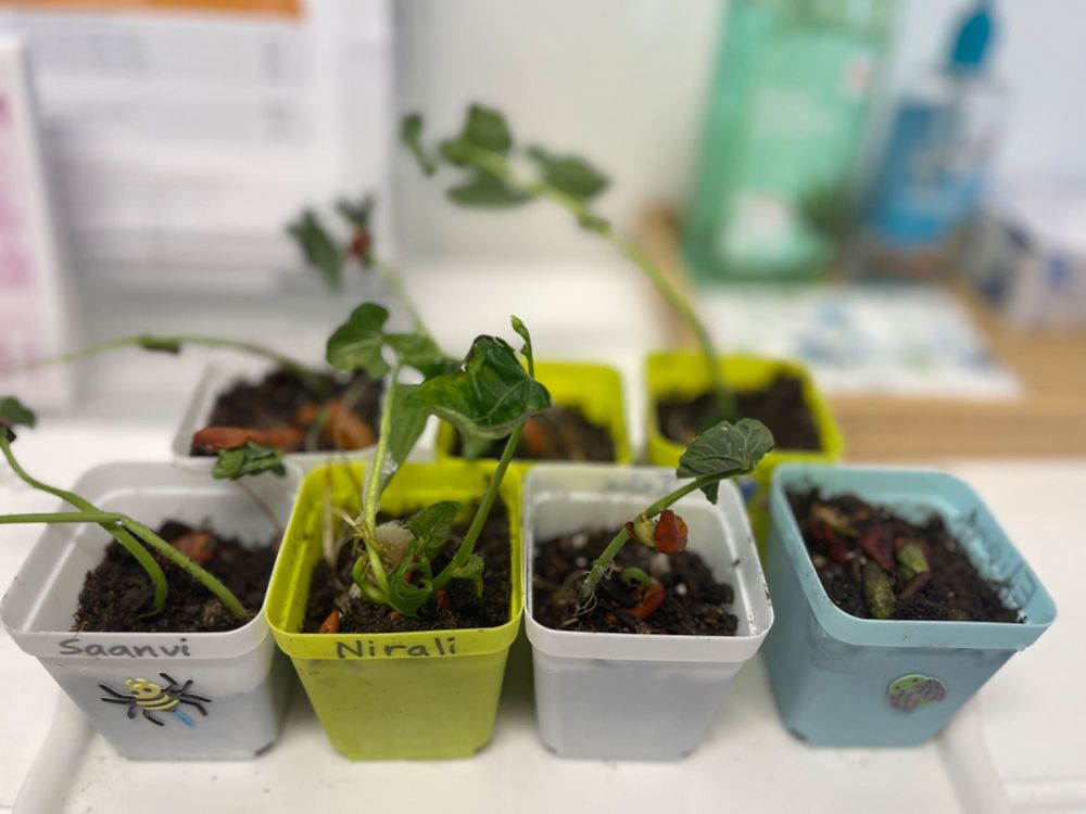 Kinderone Preschool Logo