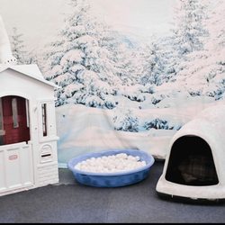 Animal Connection Experience at Fritz Park