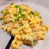 Melt Gourmet Cheeseburgers gift card
