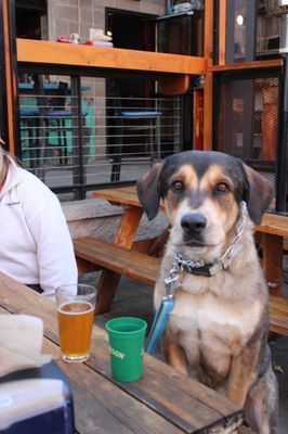 Recess Beer Garden by null