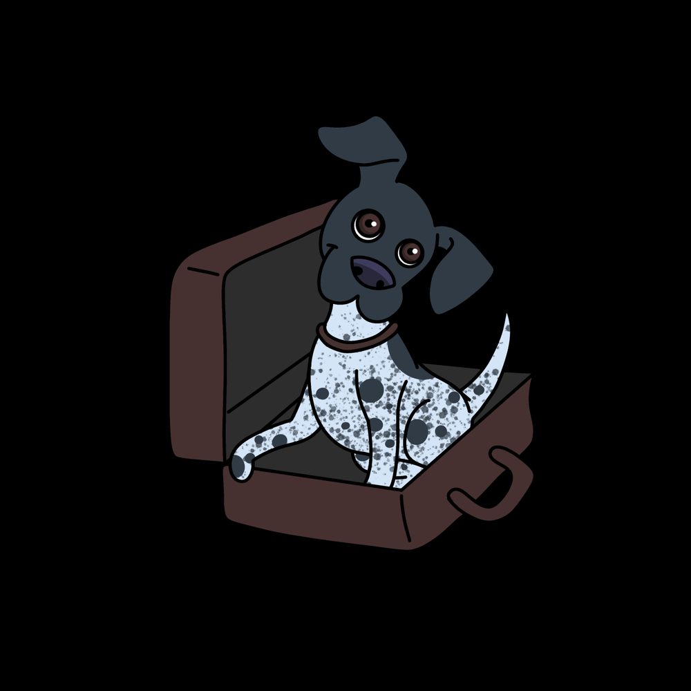 WILLOW’S BED AND BISCUIT Westfield, IN Yelp